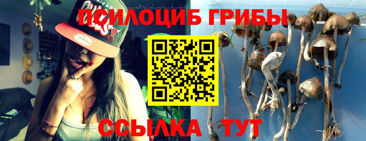 Галлюциногенные грибы мицелий Лысьва